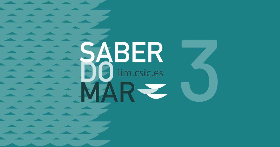 Saber do mar 3