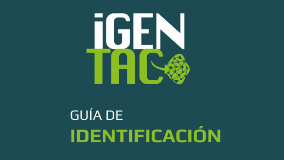 Guía identificación