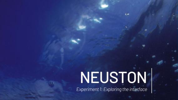 Neuston Experiment 1