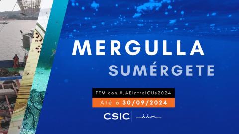 Mergulla / Sumérgete. TFM con JAE Intro ICUs 2024. Até o 30/09/2024.