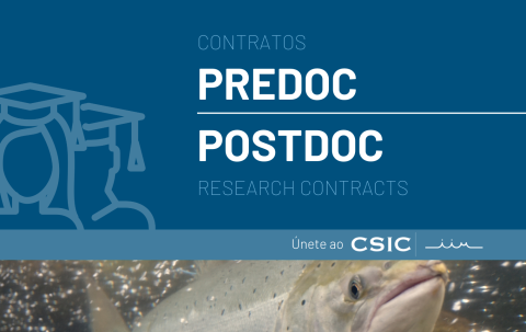 PreDoc PostDoc