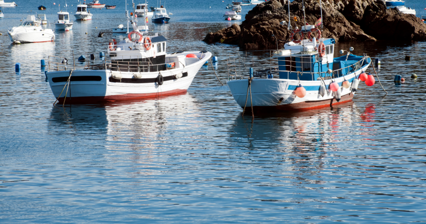 Barcos de pesca