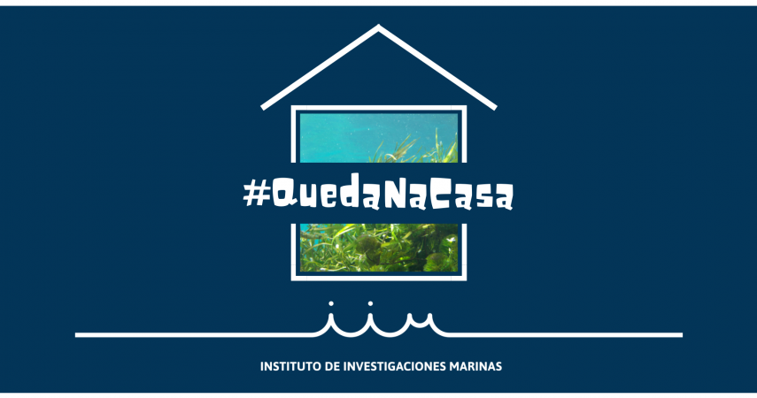 #QuedaNaCasa