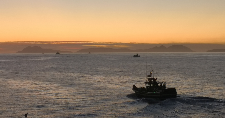 Barco pesqueiro navegando a Cies.