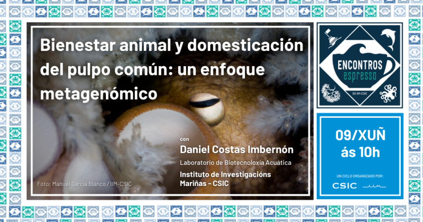 Bienestar animal y domesticación del pulpo: un enfoque metagenómico