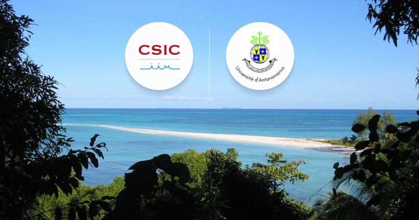 Beach in Madagascar with the logos of both, IIM-CSIC and the University of Antananarivo shown over the horizon.