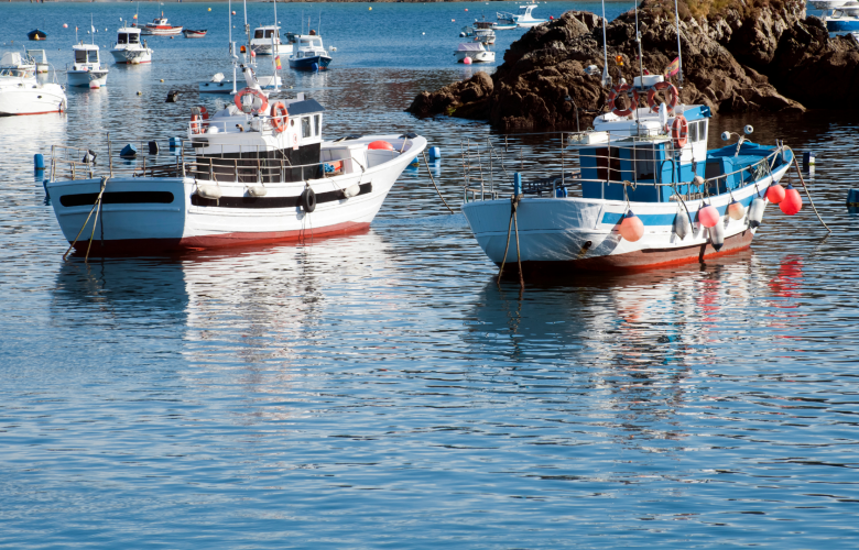 Barcos de pesca