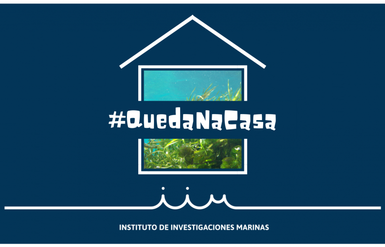 #QuedaNaCasa