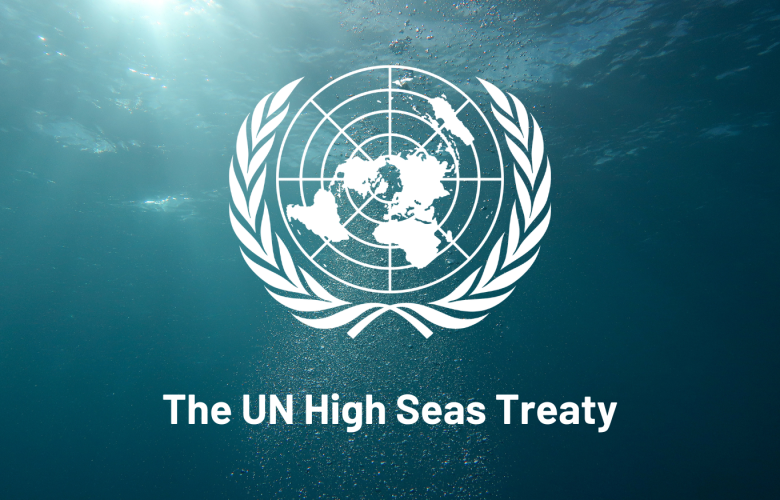 The UN High Seas Treaty