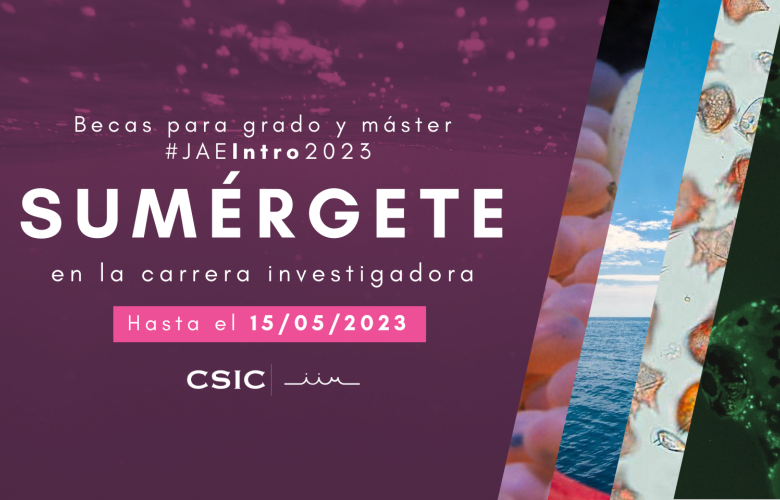 Sumérgete en la carrera investigadora | JAE Intro 2023 hasta el 15/05/2023